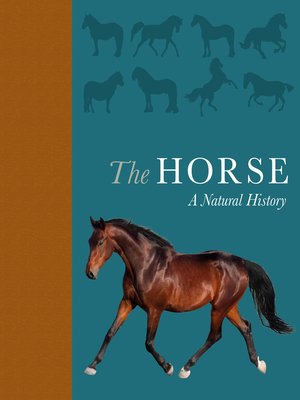 cover image of The Horse